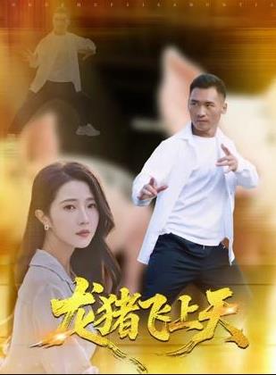 龙猪飞上天封面图