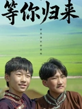 等你归来封面图