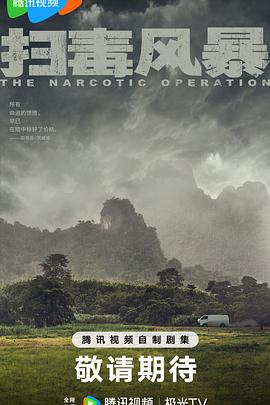 扫毒风暴封面图