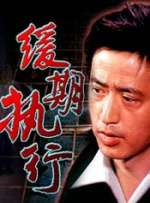 缓期执行封面图