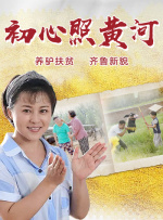 初心照黄河封面图