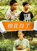 棉花白了封面图