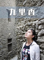 九里香封面图