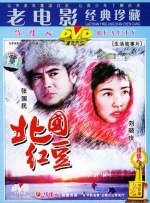 北国红豆封面图