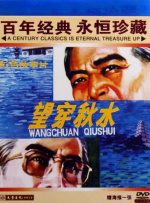 望穿秋水封面图