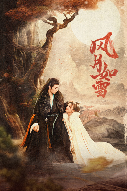 风月如雪封面图