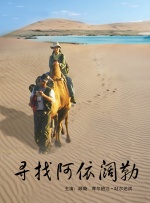 寻找阿依阔勒封面图