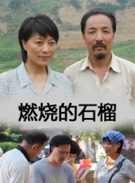 燃烧的石榴封面图