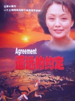 遥远的约定封面图