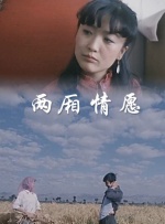 两厢情愿封面图