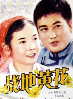 战地黄花封面图