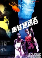 走过迷魂谷封面图