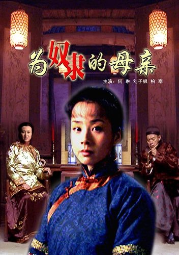 为奴隶的母亲封面图