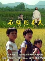 石头的夏天封面图