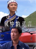 风中的诺言封面图