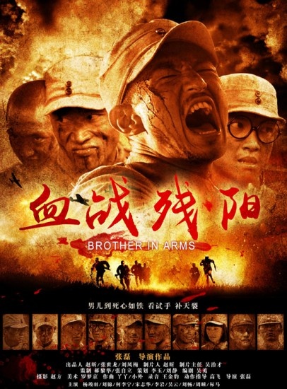 血战残阳封面图