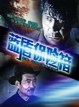 蓝盾保险箱封面图