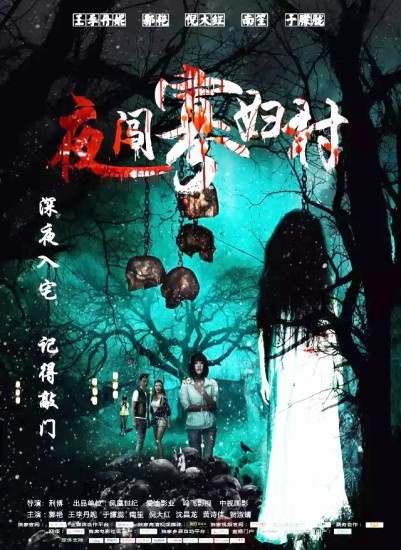 夜闯寡妇村封面图