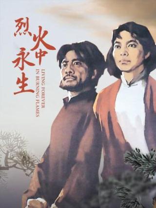 烈火中永生封面图