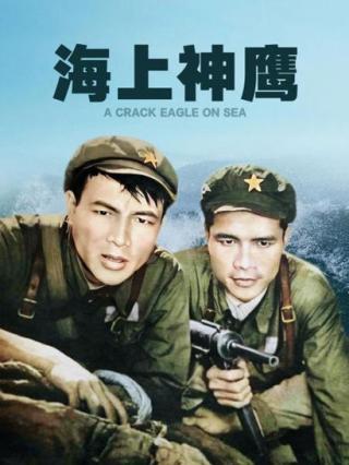海上神鹰封面图