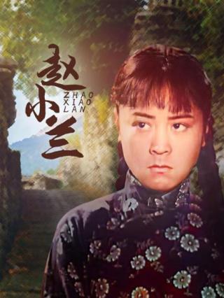 赵小兰封面图