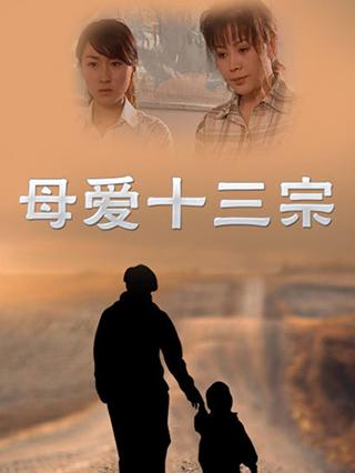 人间真情之母爱十三宗封面图