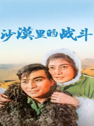 沙漠里的战斗封面图