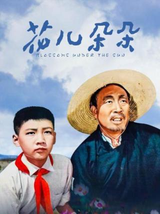 花儿朵朵封面图