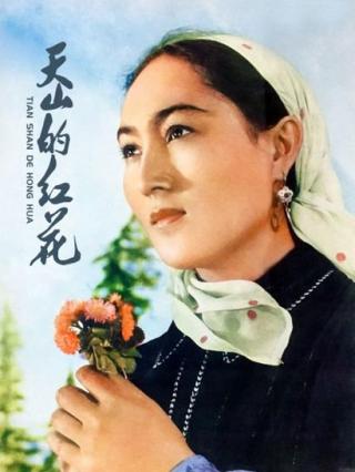 天山的红花封面图