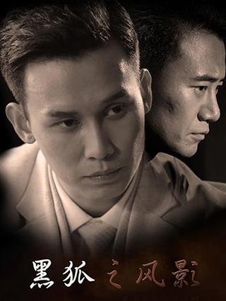 黑狐之风影封面图