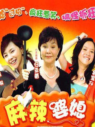 麻辣婆媳封面图