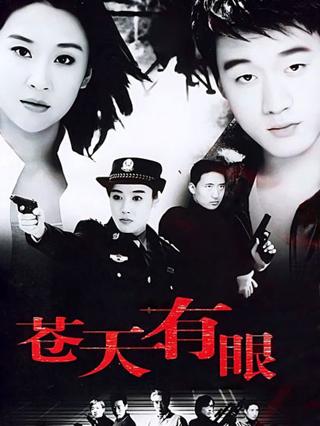 苍天有眼封面图