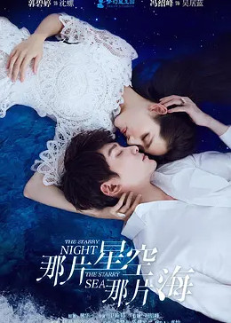 那片星空那片海封面图