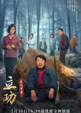 立功东北旧事封面图