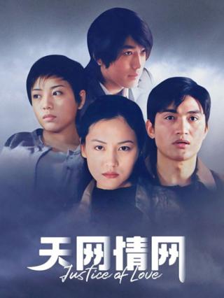 天网情网封面图