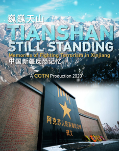 巍巍天山——中国新疆反恐记忆封面图