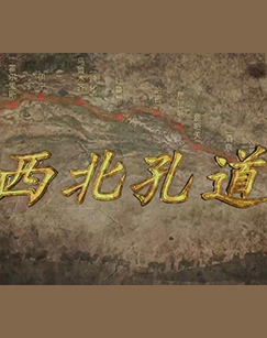 西北孔道纪录片封面图