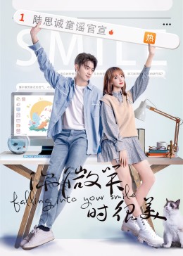 你微笑时很美封面图