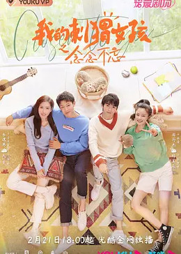 我的刺猬女孩之念念不忘封面图