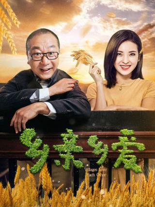 乡亲乡爱封面图