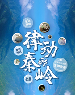 律动的秦岭封面图