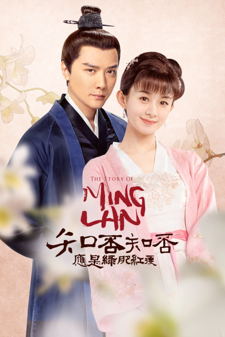 知否知否应是绿肥红瘦DVD版封面图