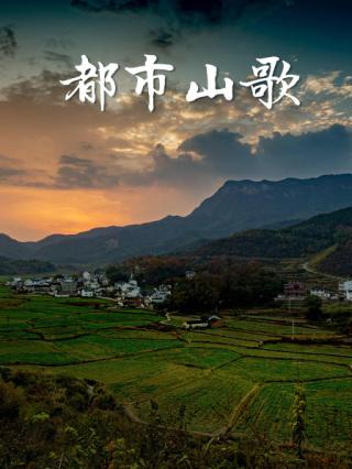 都市山歌封面图