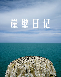 崖壁日记封面图
