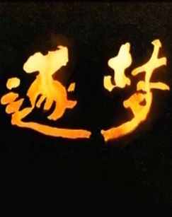 纪录片逐梦封面图