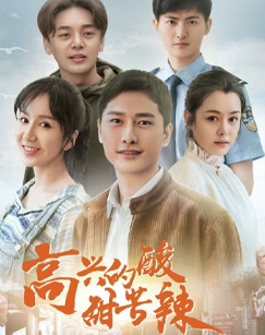 高兴的酸甜苦辣封面图