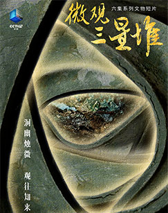 微观三星堆封面图