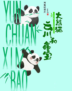 大熊猫云川和鑫宝封面图