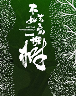 不如去看一棵树封面图