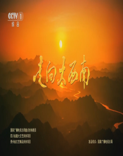 走向大西南封面图